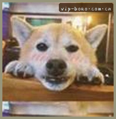 李思琪